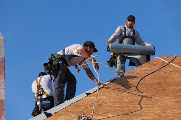 Best Roof Leak Repair  in Abernathy, TX